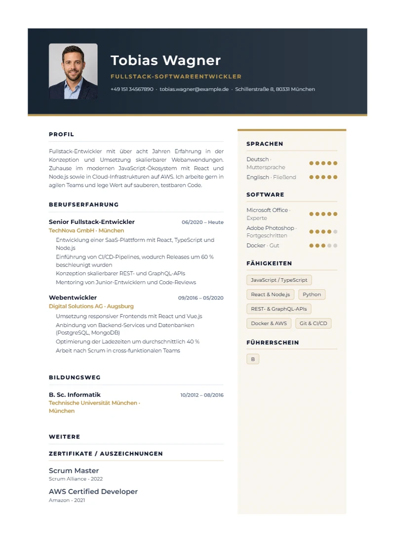 Executive Pro Schweizer Lebenslauf Vorlage