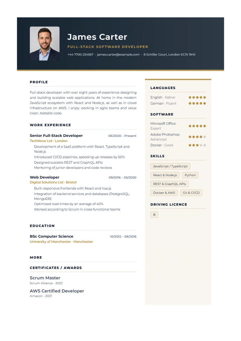 Executive Pro Schweizer Lebenslauf Vorlage