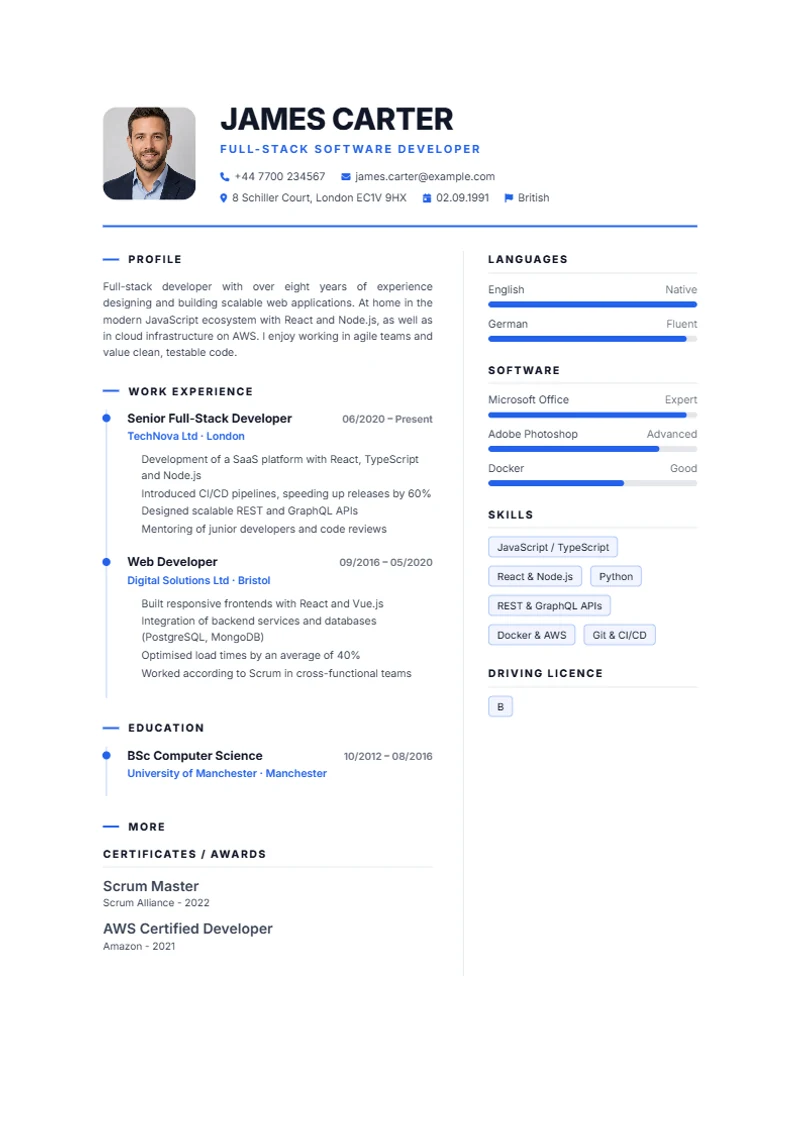 Career Journey Schweizer Lebenslauf Vorlage