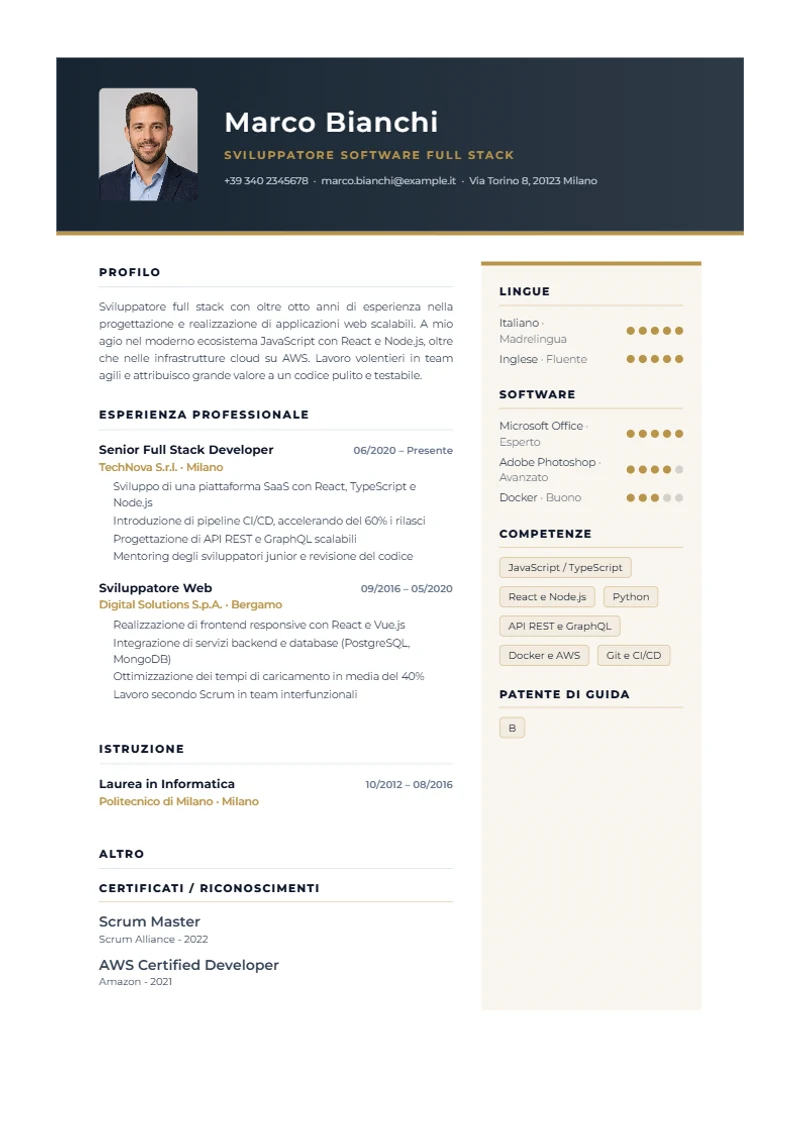 Executive Pro Schweizer Lebenslauf Vorlage